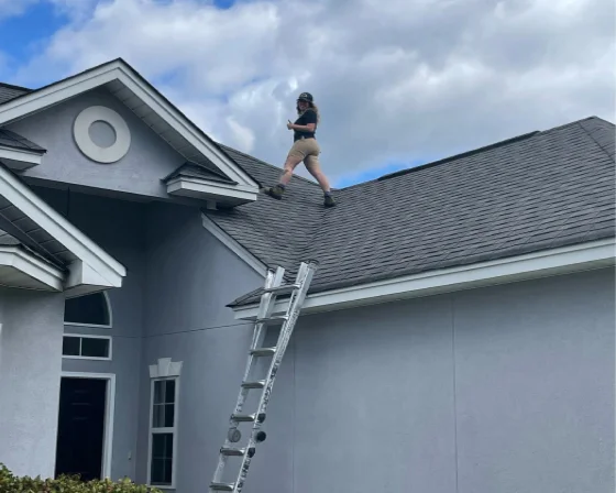 Siding Installation